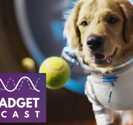 How to survive our AI video hellscape